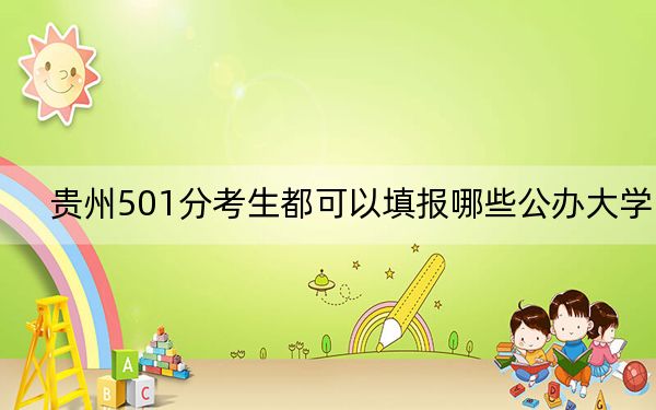 贵州501分考生都可以填报哪些公办大学？（附带2022-2024年501左右大学名单）