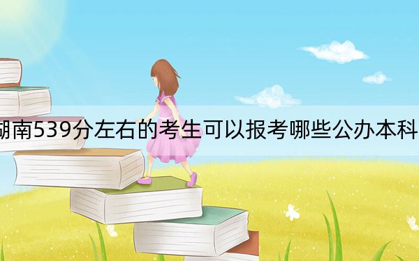 湖南539分左右的考生可以报考哪些公办本科大学?(供2025届高三考生参考)
