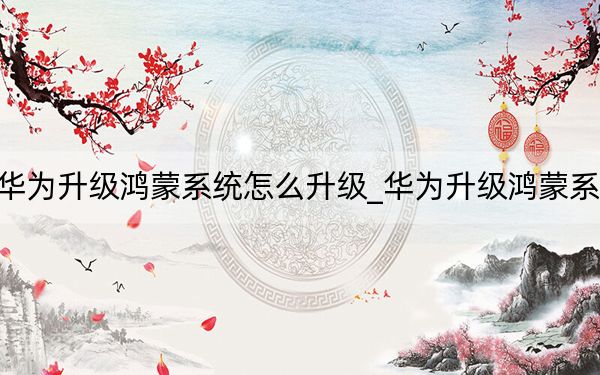 华为升级鸿蒙系统怎么升级_华为升级鸿蒙系统